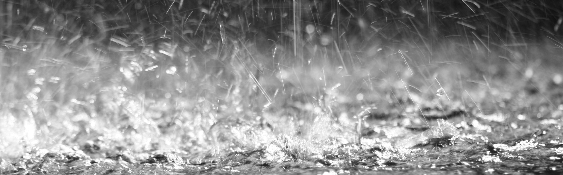 Närbild av vattendroppar när det regnar