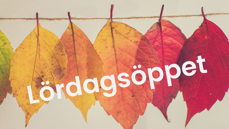 Höstlöv lördagsöppet