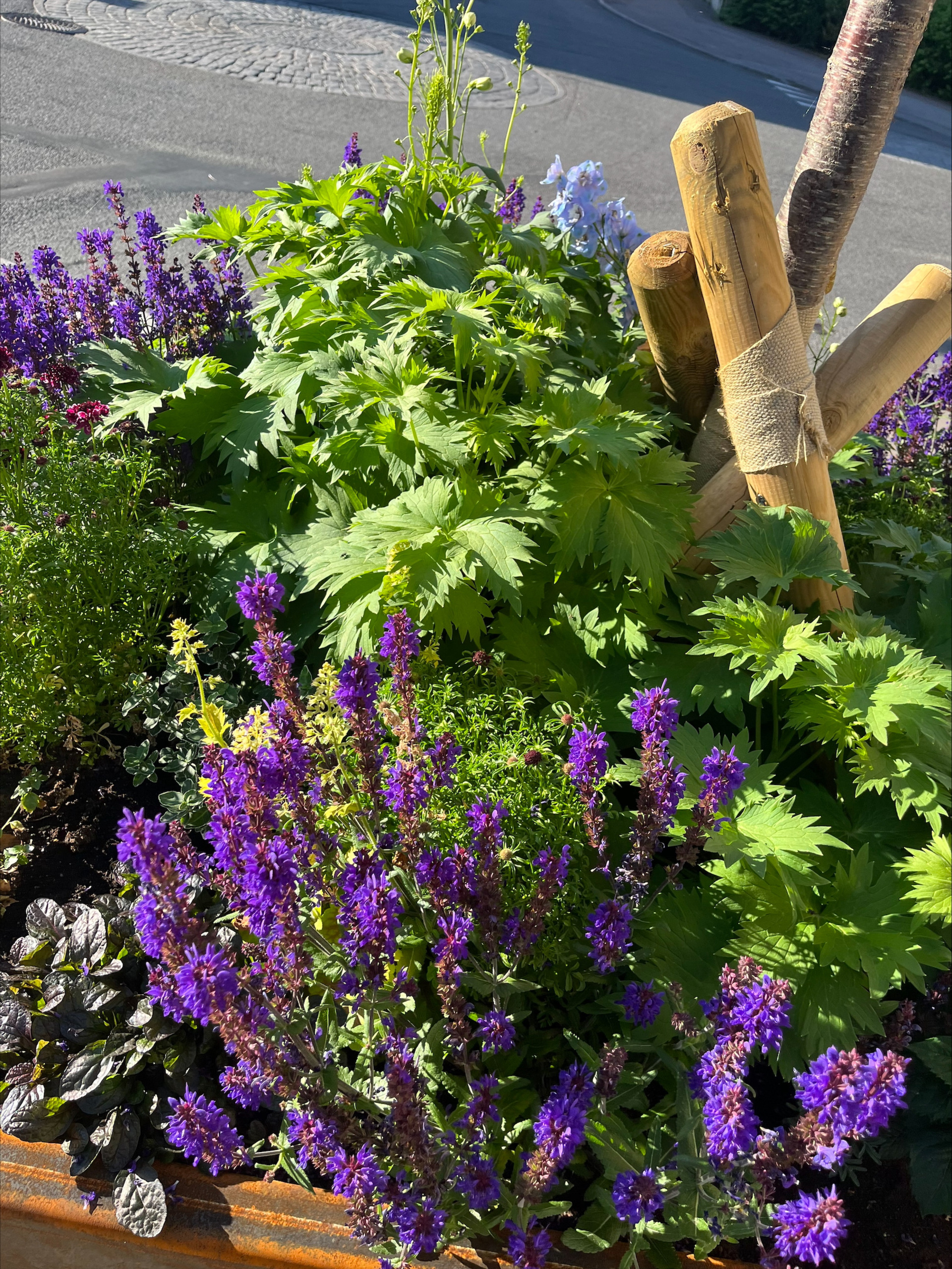 Blomma flexgatan